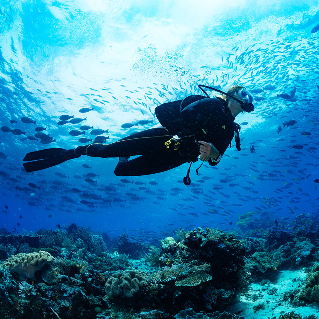 Scuba diver on coral reef